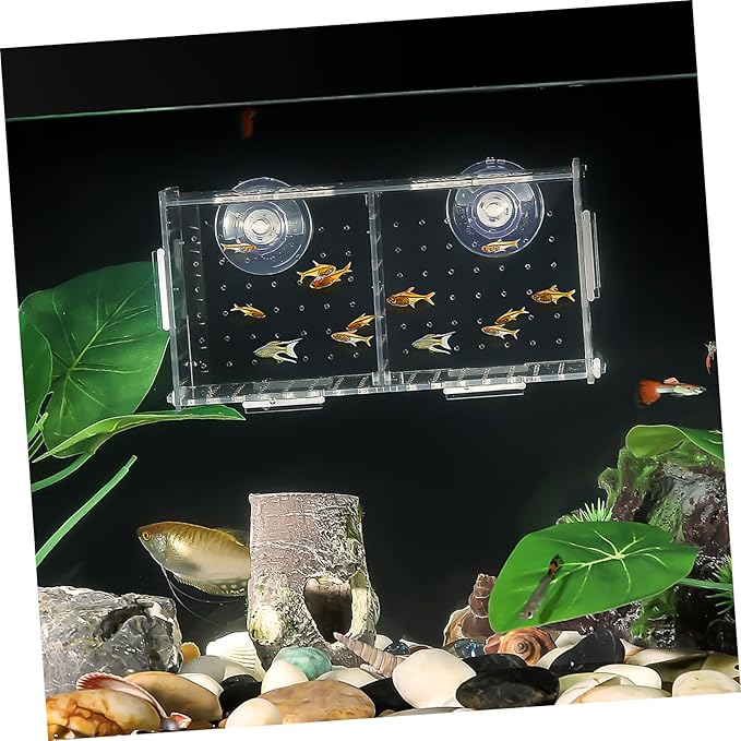 Aquarium Fish Tank Breeding Box - Guppy Double Breeding Hatchery Incubator, Safe Breeding and Egg Protection for Shrimp Clownfish