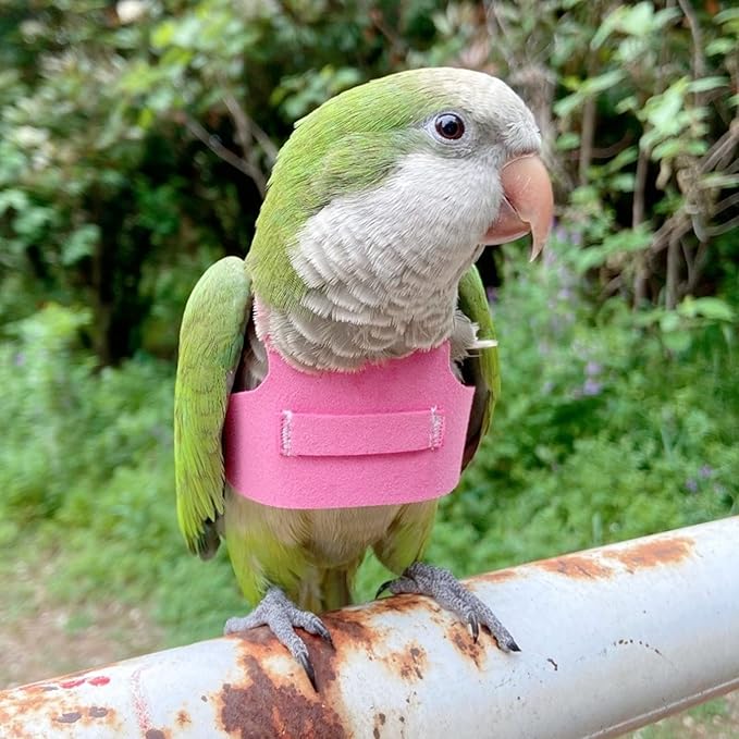 Bird Flight Harness Vest, Parrot Flight Suit with Leash for Parakeets Cockatiels Conures Budgies, Bird Flying Clothes with Rope and Handle for Outdoor Activities Training (M, Pink)