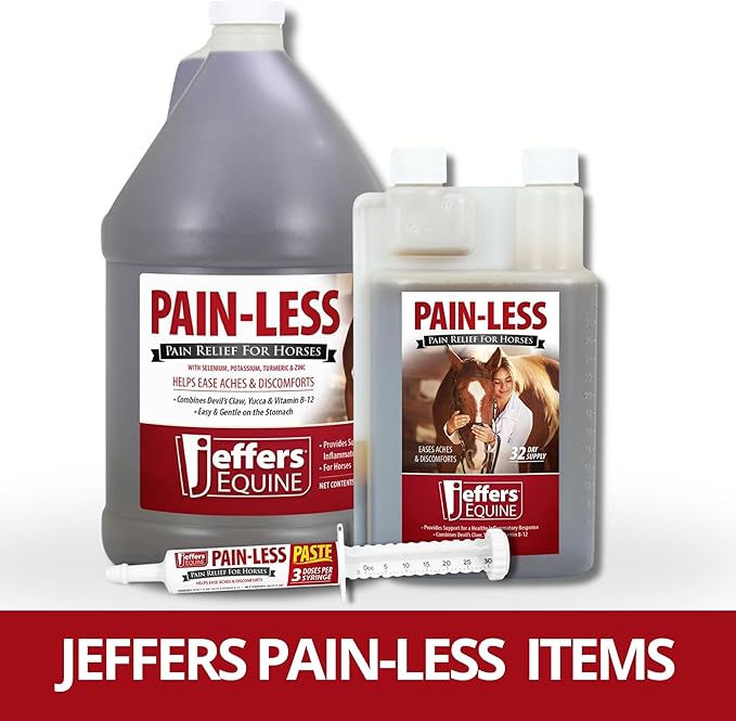 Jeffers Equine Pain-Less Paste for Horses – 30cc Easy Dose Syringe – Support Healthy Inflammatory Response, Comfort – Devil’s Claw, Yucca, and Vitamin B-12 – Gentle on Stomach – Made in The USA