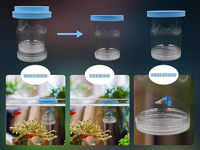 3 Pack Breeder Box for Fish Tank, Baby Fish Separator for Aquarium, Floating Breeding Isolation Box for Betta, Shrimp, Clownfish, Guppy