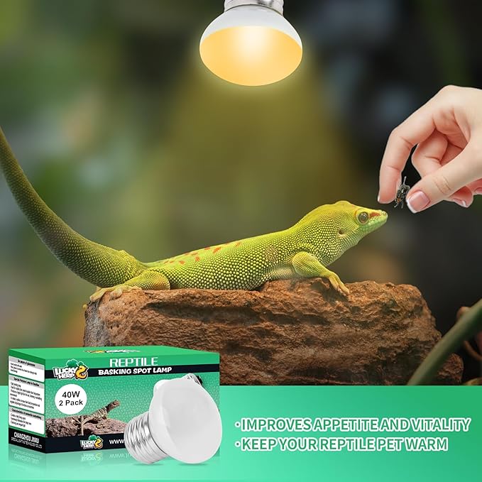 LUCKY HERP Heat Lamp Bulbs, 40W Reptile Heat Lamp 2 Pack Reptile Heat Lamp Bulbs, Daylight Basking Spot Heat Light Bulb, Amphibians Lamp Bulbs for Chameleons, Snakes, Lizard, Turtle