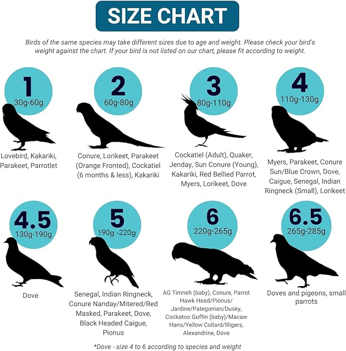 Bev's Bird Boutique Regular Flyper Adjustable Bird Diaper | Reusable, Washable Cloth | Comfort Fit for Parrot, Cockatiels, & Other Small Birds | Fashionable Avian Accessories, Tuxedo, Size 7.5