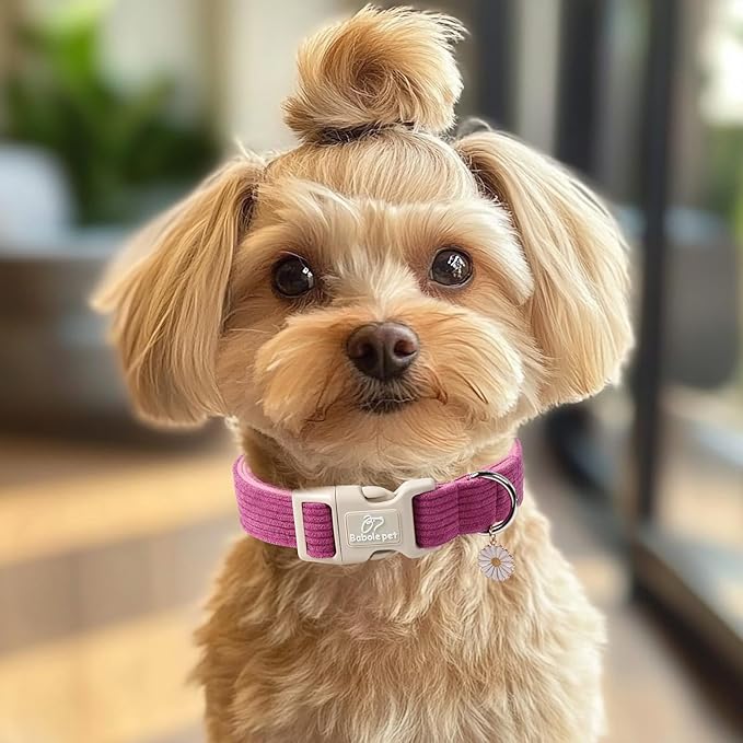 Cute Corduroy Dog Collar - Fuchsia Adjustable Dog Collars for Large Dogs 50-80lbs, Fade-Proof with Secure Snap & Little Charm, Christmas Birthday Gift, L