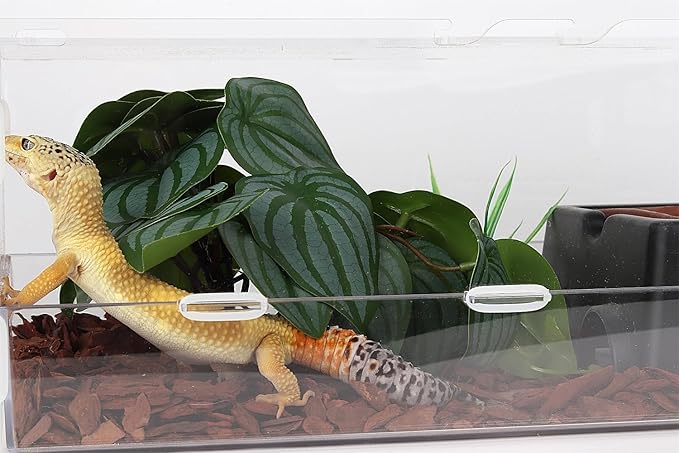Reptile Plants for Terrarium, Ball Python Tank Decor Accessories fit Bearded Dragon Crested Leopard Gecko Lizard Chameleon Snake Frog Tortoise Hermit Crab - Fake Calathea Orbifolia