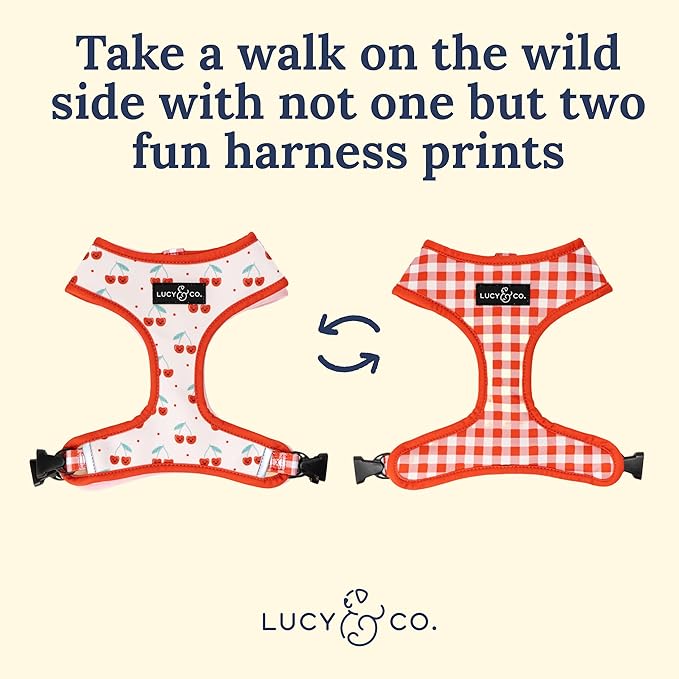 Lucy & Co. Cheery Cherries, Cute Reversible Dog Harness Walking Halter - Best Designer Pet Harnesses for XS - XL Dogs - Padded Adjustable Vest for Easy Walking (X-Small)