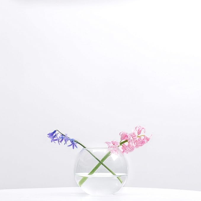 WGV Bowl Glass Vase Bulk, Diameter 6", Height 4.5", Open Width 4", 48 oz., (Multiple Sizes Choices) Clear Bubble Planter Terrarium Fish Bowl for Wedding Event Home Decor, 12 Pieces (VBW0006A)