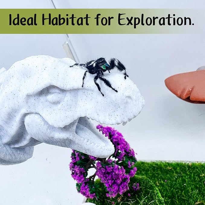 Jumping Spider Hide,3D Printed Dinosaur Head - A Fun Habitat for Jumping Spiders, Small Reptiles, and Small Pets, Suitable for Home Decor with Animal Enclosures (Marble Color)
