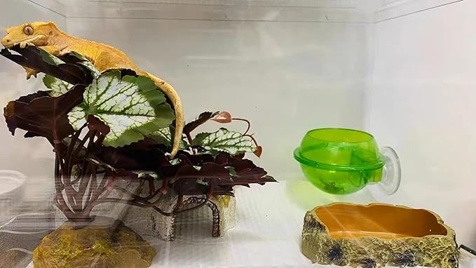 Woyrise Reptile Artificial Plants for Terrarium Decor, Amphibian Habitat Hideout Bearded Dragon Tank Decorations fit Crested Gecko Leopard Lizard Chameleon Ball Python Snake Frog - Saxifrage