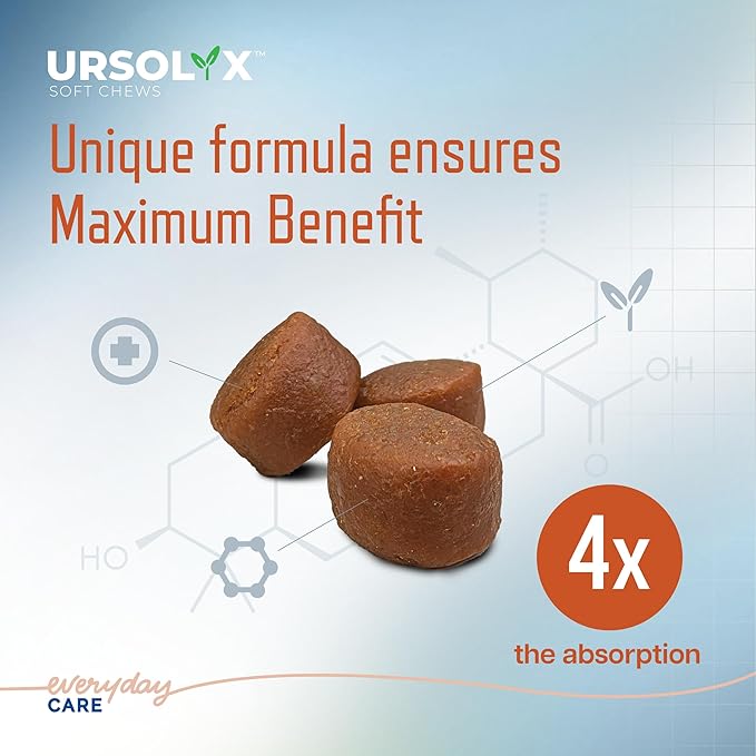URSOLYX Soft Chews for Dogs | Muscle Health Support for Senior, Active or Recovering Dogs, Small | 120 Count 4-Month Supply