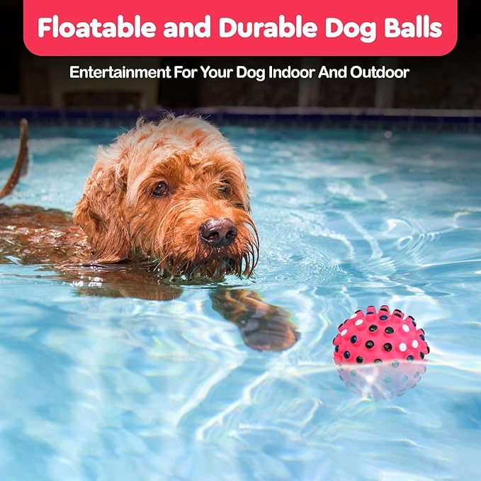 SPOT Vinyl Gumdrop Ball Dog Toy with Squeaker - Colorful and Interactive Dog Chew Toy, Floats in Water, Made from Durable, Non-Toxic Natural Rubber, Great for Dogs and Puppies, 5in, Assorted Colors