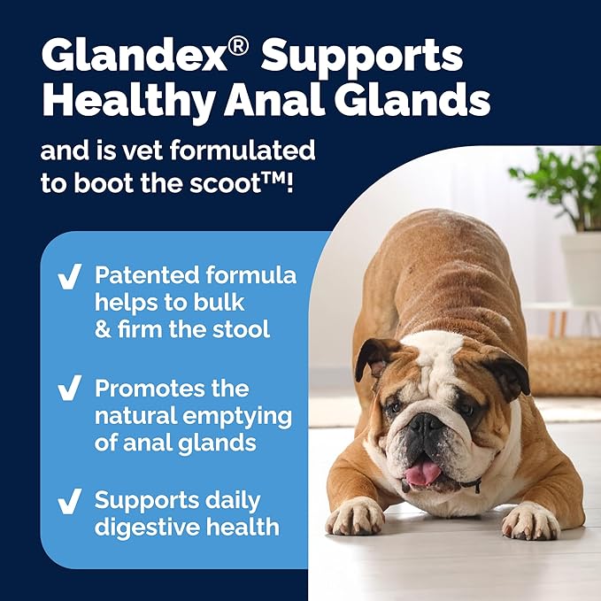Vetnique Glandex Dog Fiber Supplement Powder for Anal Glands with Pumpkin, Digestive Enzymes & Probiotics - Vet Recommended (Regular or Advanced Strength) - Boot The Scoot (4.0oz Powder, Beef Liver)