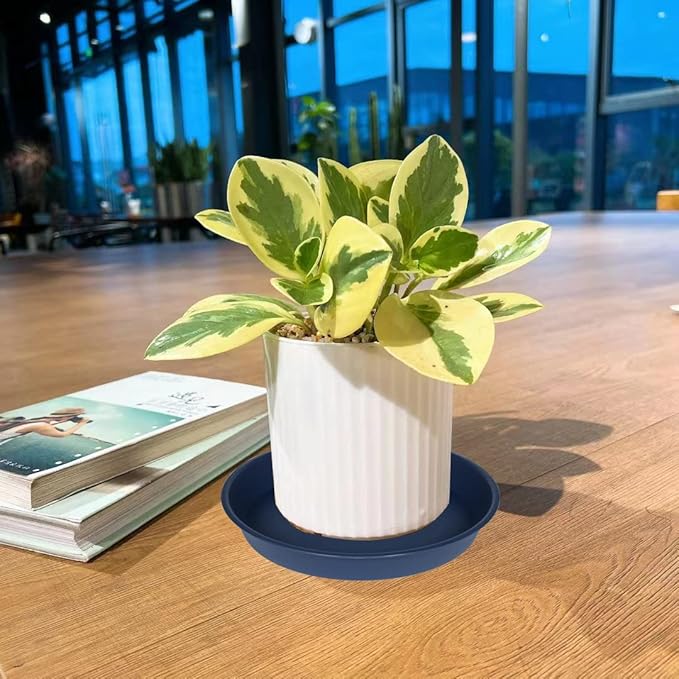 2 Pack of 8 inch Plant Saucer Clear, Heavy Duty Plastic Plant Water Tray 8 inch Round, Flower Plant Saucers for Indoors No Holes, Plant Dishes Saucer for Planter 7"/8" (8", Blue)