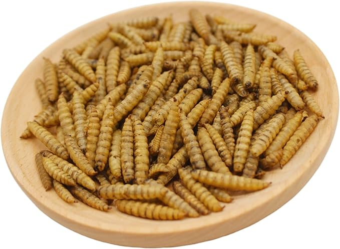 Premium Chicken Treats 10LB - Non-GMO & 85X More Calcium Than Meal Worms - Molting & Laying Supplement - BSF Larvae Treats for Layer Hens, Ducks Wild Birds