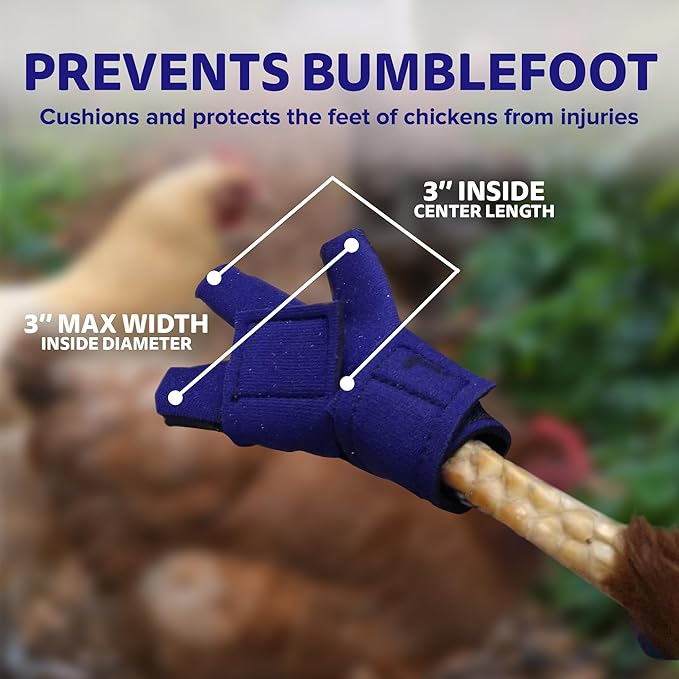 Chicken Shoes for Injured Feet – Protective Neoprene Footwear for Chicken, Open-Toe Design for Bumblefoot Relief, Made in USA - Standard, 3" Max. Inside Width, Royal Blue