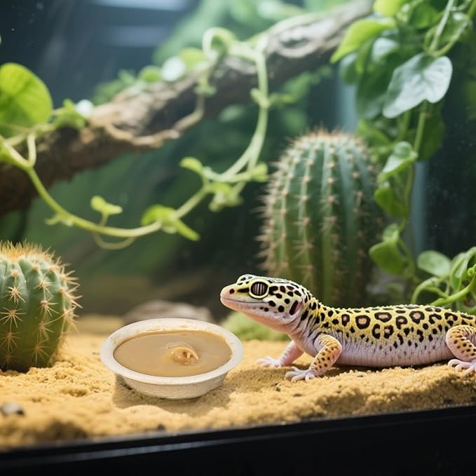 Paper Gecko Feeding Cups, Paper Bowls Reptiles Food and Water Feeder Ledge Cups for Lizars,Bearded Dragon,Snake,Crabs, 100Pack 1 OZ
