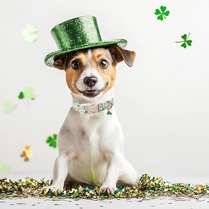 St Patricks Day Dog Collar for Large Dogs - Cute Pastel Lucky Clover Dog Collars, Lightweight Adjustable Irish Green Festival Dogs Collars with Quick Release Buckle L