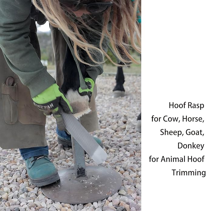 8-Inch Hoof Rasp Set (4 Pack) – Portable Precision Files for Hoof Detailing