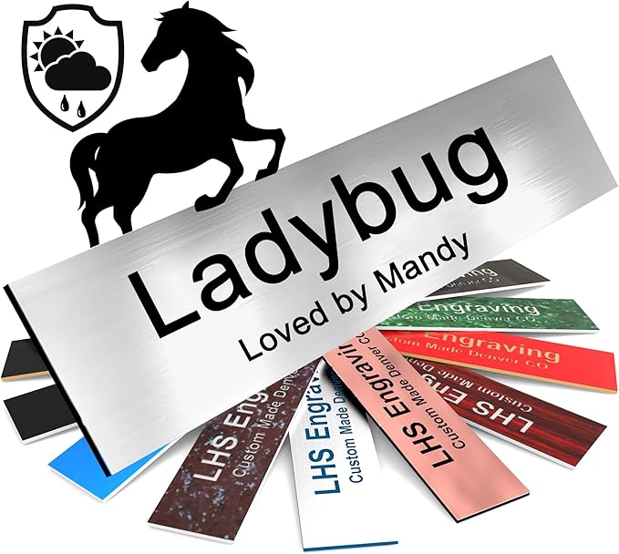 Personalized Horse Stall Name Plates, 2x8 Horse Stall Signs with Adhesive, All Weather UV Protected, Black Brushed Steel Plastic Black Letters - Made in USA - M1