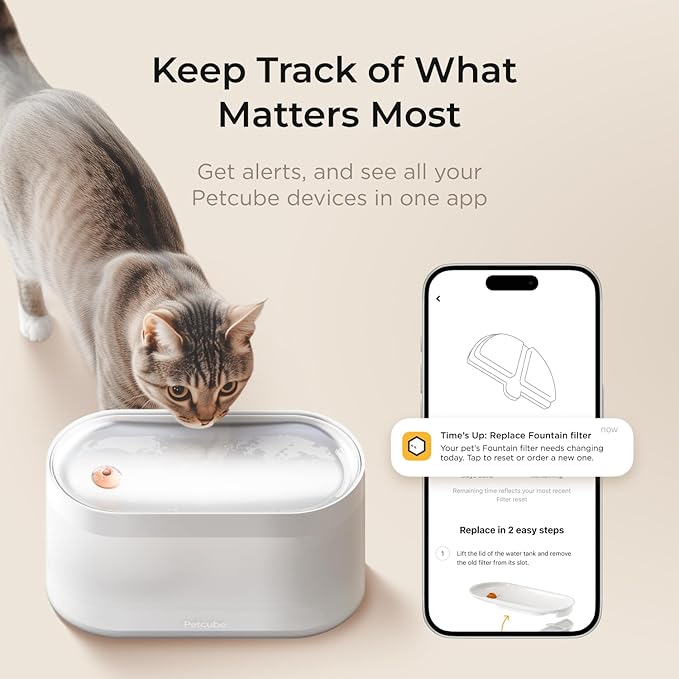 Petcube Pet Water Fountain | Automatic Wireless Fountain for Cats and Dogs with Stainless Steel Bowl, Easy to Clean, 4-Layer Filtration, in-App Filter Control, LED Light, Quiet Pump, Battery Operated