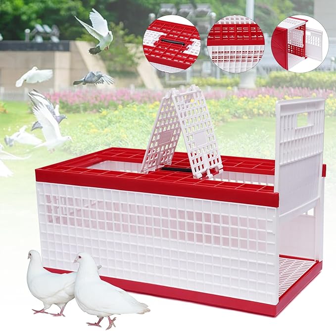 Racing Pigeon Carrier Box, Plastic Transportation Pigeon Cage, Folding Pigeon Training Release Cage with 2 Side Doors + 2 Top Department