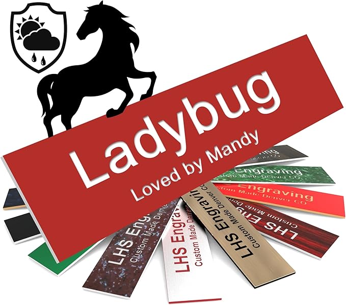 Personalized Horse Stall Name Plates, 2x12 Horse Stall Signs with Adhesive, All Weather UV Protected, Red Plastic White Letters - Made in USA - B7