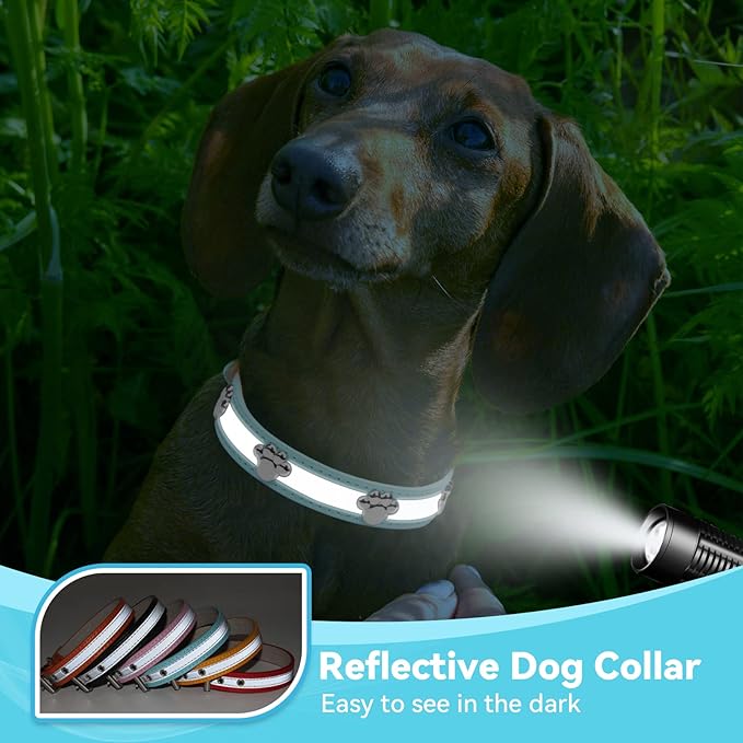PETCARE Reflective Dog Collar with Cute Paw Rivet Studded Funny Soft PU Leather Adjustable Puppy Dog Collars for Small Medium Large Dogs Cats (Blue,Medium)
