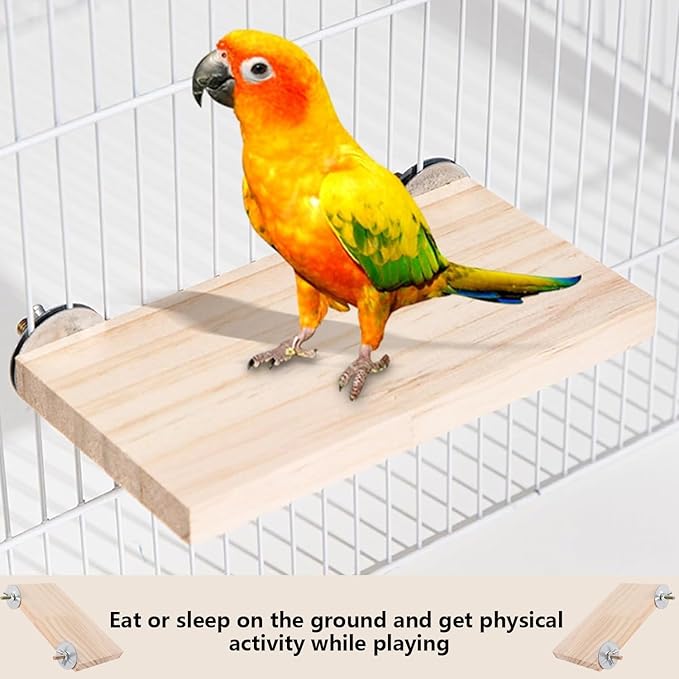 2Pcs Solid Wood Parrot Stand and Small Animal Climbing Platform