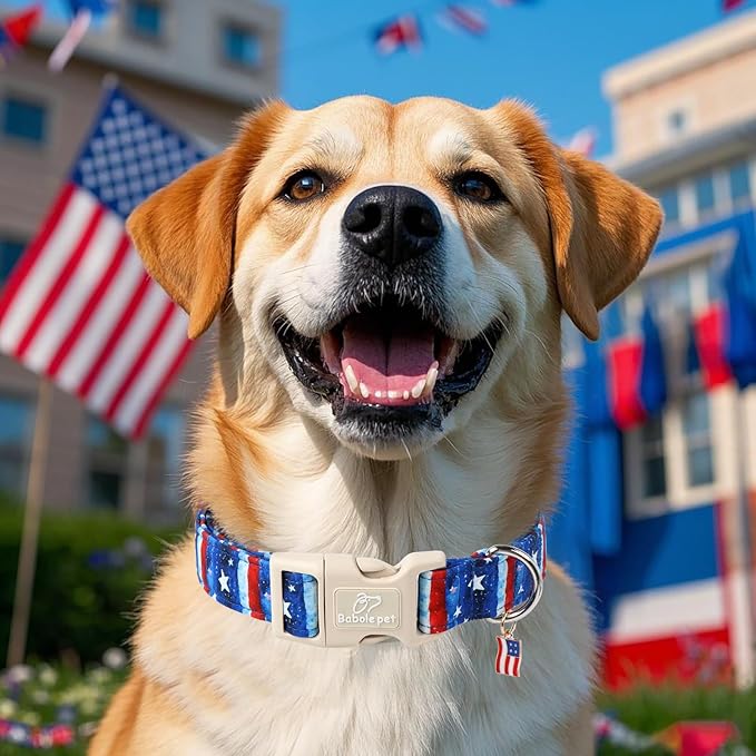 4th of July Dog Collar, Stars & Stripes Patriotic Dog Collars for Giant Large Dogs, Adjustable Lightweight Quick-Release Buckle Collar for Boy&Girl Dogs XL