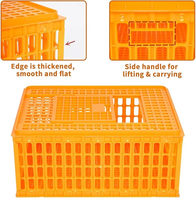 Poultry Carrier Crate Plastic Chicken Transport Crate Cage Heavy Duty Chicken Carrier Crates Crates Transport Box