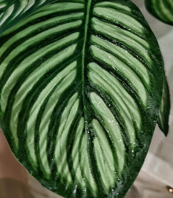Reptile Terrarium Decor,Amphibian Habitat Decor,Artificial Plants for Crested Gecko Tank Accessories Suitable for Leopard Gecko Bearded Dragon Lizard Chameleon Snake Tortoise (Calathea makoyana-D)