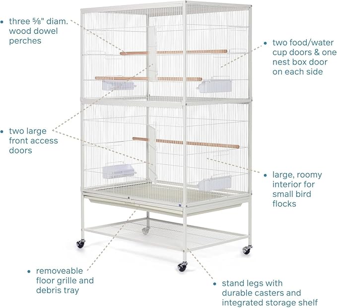 French Fabulous Iron Flight Cage with Elegant Ironwork, Spacious Interior, Durable Construction, and Ample Room for Birds to Fly, Play, Chalk White/53 H