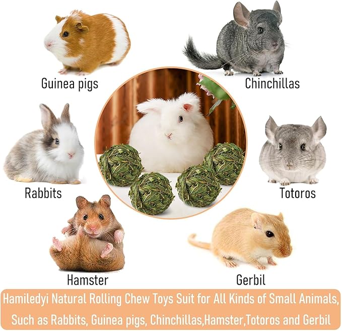 Hamiledyi 4 Pcs Rabbit Chew Ball Timothy Grass Ball Small Animal Activity Play Chew Toys Teeth Grinding for Bunny Rabbits Hamster Guinea Pigs Gerbils Chinchillas