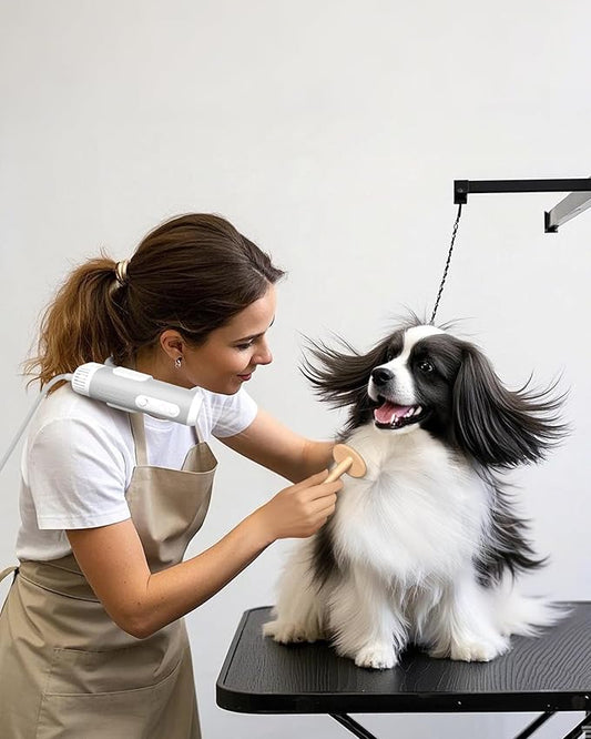 L&W BROS. Hands-Free Dog Dryer – Powerful & Professional Pet Blow Dryer for Small & Medium Dogs & Cats, Adjustable Airflow, Easy Storage, Negative Ion Technology (Gray)