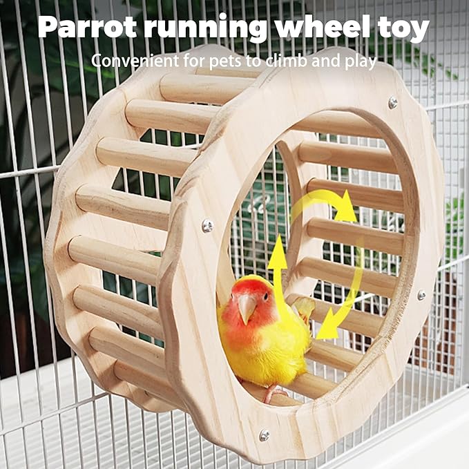 Bird Stand Perch Toy,Interactive Rocking Parakeet Toy and Perch, Wooden Exercise Wheel Cockatiel Toy, Intelligence Puzzle Enrichment Toys,Bird Playground Play Stands for Conure Budgie(D)