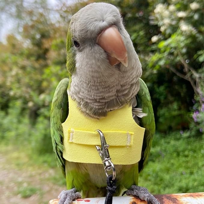 Bird Flight Harness Vest, Parrot Flight Suit with Leash for Parakeets Cockatiels Conures Budgies, Bird Flying Clothes with Rope and Handle for Outdoor Activities Training (S, Yellow)