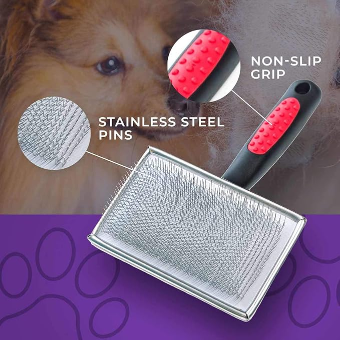 Ryan's Pet Supplies Paw Brothers Flat Slicker Brush for Dogs, Dog Brush for Short Haired Dogs, Professional Grade, Coated Tips, Gentle on Skin, Maximum Coverage, Mini/Small