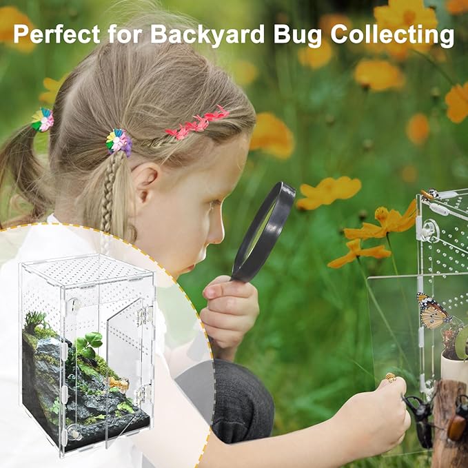 Acrylic Jumping Spider Enclosure Box: 10x6x6 Inch Transparent Habitat with Ventilation Holes, Escape-Proof Terrarium for Reptile Pet, Easy to Clean & Observe