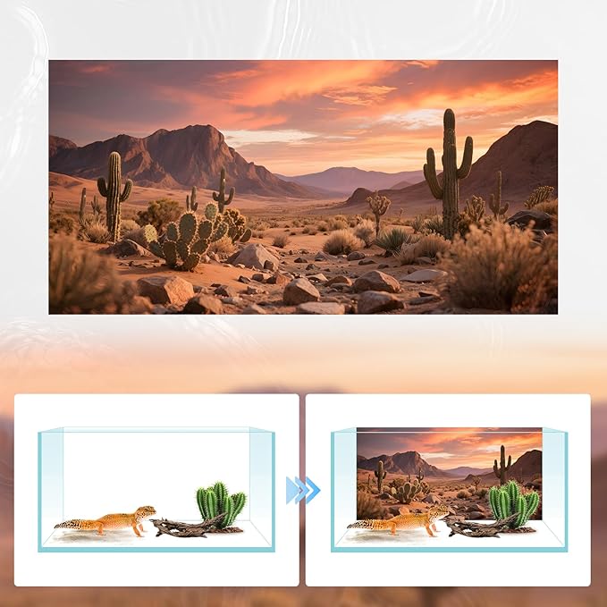 3 Pack Terrarium Background 36x18 inches Polyester Reptile Background，Gobi Sunshine Cactus Stone & Green Tree Fern Stream Terrarium Background