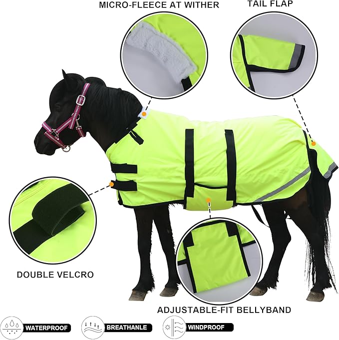 Foal/Mini Horse Size 30"-48" Waterproof & Breathable 300 Denier Winter Turnout Blanket with 150g Polyfill Green Small