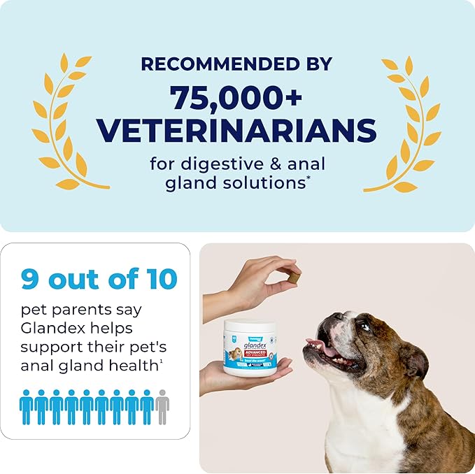 Vetnique Glandex Anal Gland Soft Chew Treats with Pumpkin for Dogs Digestive Enzymes, Probiotics Fiber Supplement for Dogs Boot The Scoot (Advanced Strength Duck/Bacon Chews (Vegetarian), 60 Ct)