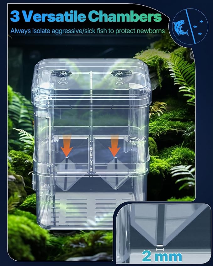 Pawfly Aquarium Breeder Box - Transparent Plastic, Incubator for Fish Fry, Hatchery & Isolation Box for Aggressive Fish & Shrimp