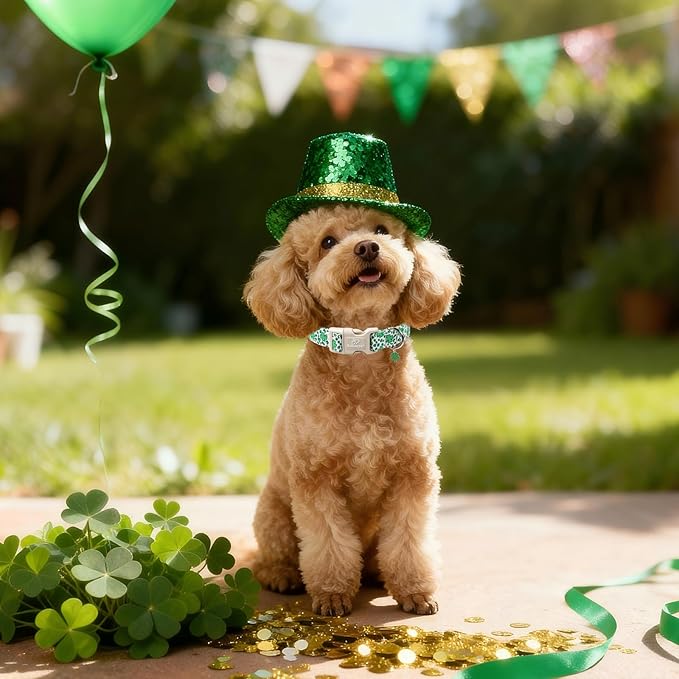 St Patricks Day Dog Collar for Large Dogs - Leopard Lucky Clover Dog Collars, Lightweight Adjustable Irish Green Festival Shamrock Dogs Collars with Quick Release Buckle L
