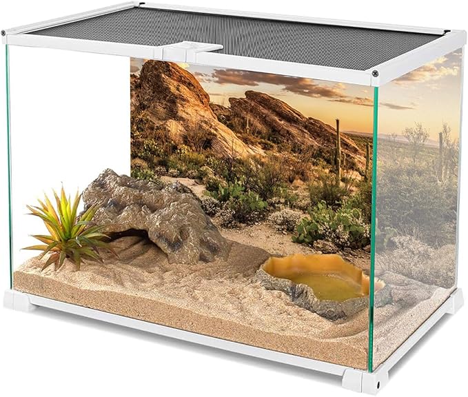 AWERT Terrarium Background 36x18 inches Reptile Habitat Background Blue Sky Oasis Cactus Sun and Desert Terrarium Background Polyester Terrarium Background
