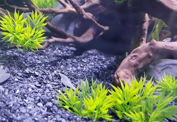Small World Slate & Stone Natural Coarse Sand Gravel Substrate USA Sourced and Packaged for Aquascaping Planted, Freshwater and Saltwater Tanks - Gravel Size Approx. 1/32" to 1/8" (14 lbs)