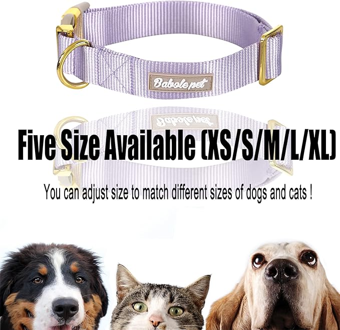 Nylon Dog Collar - Adjustable Lavender Soft Webbing Dog Collars for Small Medium Large Dogs Boy Girl Puppy Collar with Safety Metal Buckle L