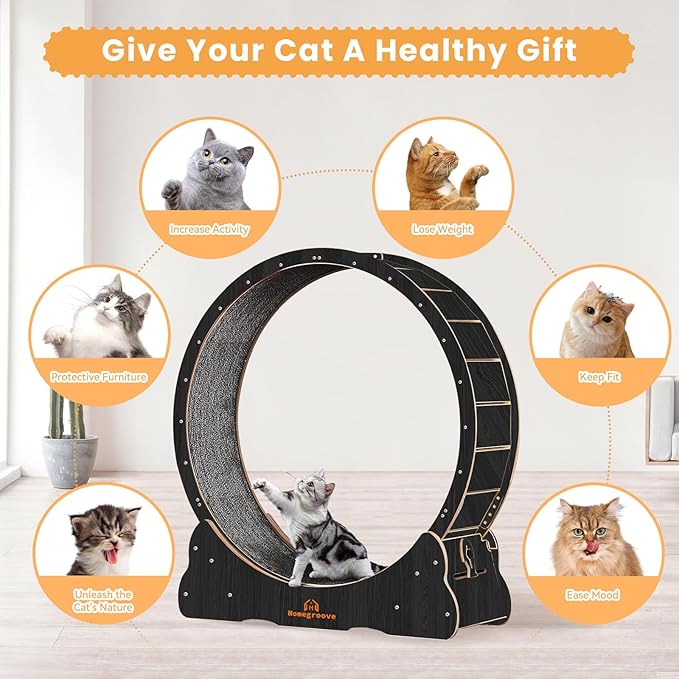 Homegroove Cat Wheels for Indoor Cats, 46 inch Large Cat Exercise Running Treadmill Wheel with Carpeted Runway for Kitty’s Longer Life, Black(XL)