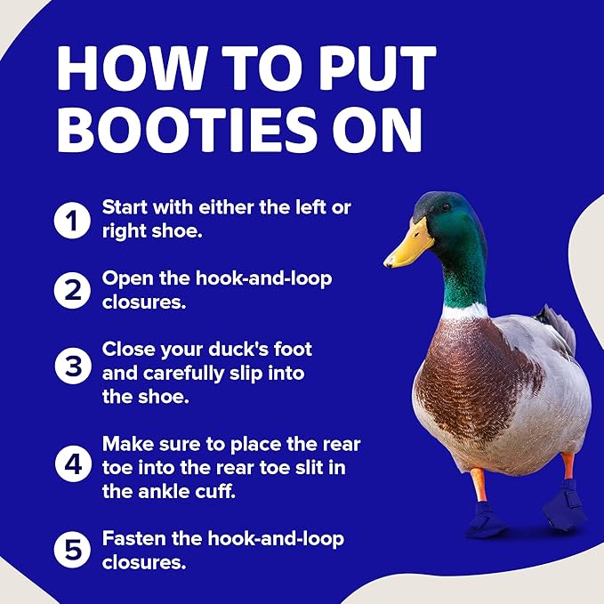 Duck Shoes for Injured Feet – Protective Neoprene Footwear for Ducks, Protective Shoes for Birds with Injured feet, Bumblefoot Relief - Medium, 3.5” Max. Inside Width - Royal Blue