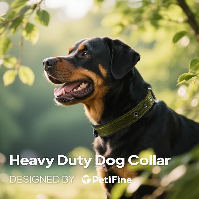 PetiFine Dog Collars for Small Dogs, Neoprene Padded Dog Collar, Reflective Heavy Duty Pet Collars with Durable Metal Belt Buckle for Walking, Green, S