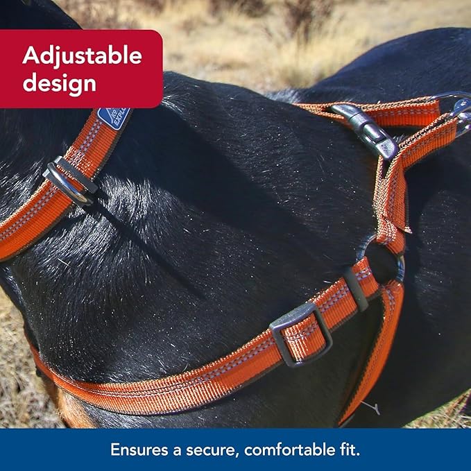 Coastal Pet K9 Explorer Reflective Adjustable Padded Dog Harness - Plush Chest Pad for Comfort - No-Pull Dog Harness for Small and Large Dogs - Campfire Orange - 1" x 20"-30", Medium