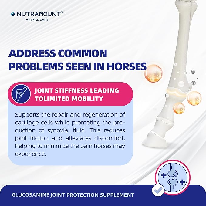 Glucosamine Joint Protection Supplement for Horses Support Cartilage Health & Joint Mobility 15-Day Supply